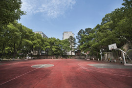 湖南交通高級技工學(xué)校