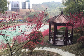 邵陽市交通中等職業(yè)技術(shù)學(xué)校