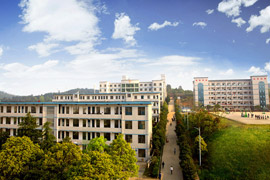 ꖿhI(y)I(y)g(sh)WУ