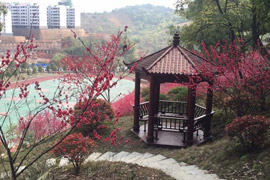 邵陽市交通技工學校